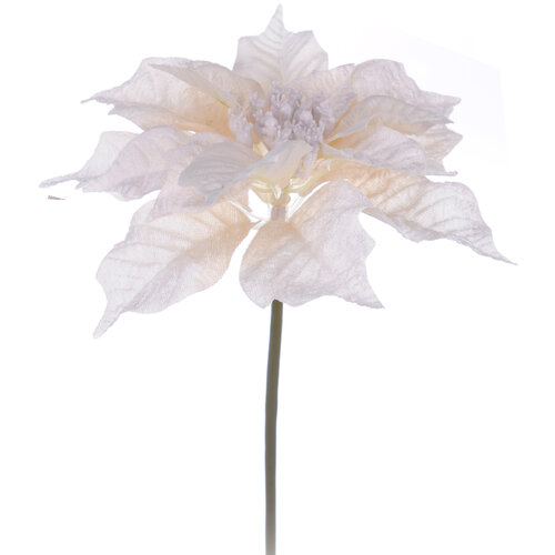 Umělá květina poinsettia bílá 3 ks