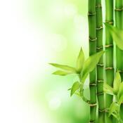Polštář z paměťové pěny Bamboo, profilovaný, 50 x 30 cm