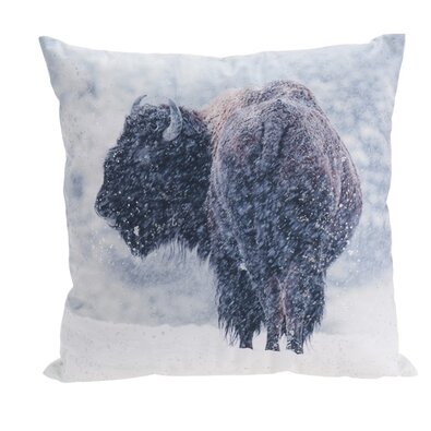 Kissen Bison, 45 x 45 cm