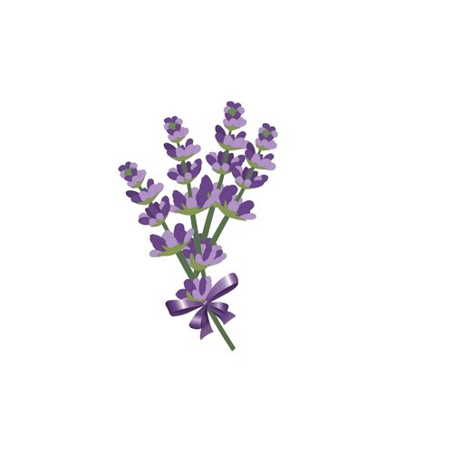 Anatomski lavandulov blazinac iz spominske pene