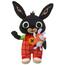 Bing Bunny cu prietenul său Hoppity, 29 cm