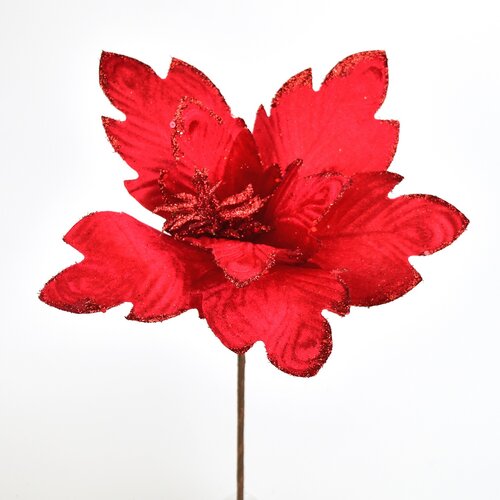 Mikulásvirág piros, 30 cm átmérőjű