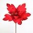 Kwiat Poinsettie czerwony na drucie, śr. 30 cm