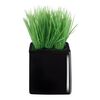 ASA Selection sztuczny kwiat w doniczce mini grass11752