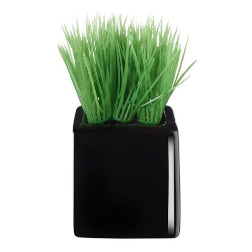 ASA Selection sztuczny kwiat w doniczce mini grass11752