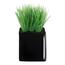 ASA Selection sztuczny kwiat w doniczce mini grass11752