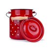 Toro Bandaska s pokrovom Puntík, 3,3 l