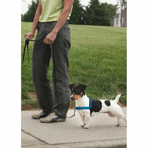 PetSafe Harness EasyWalk Deluxe albastru mărimea L