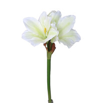 Amaryllis artificial alb-verde, 52 cm