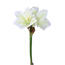 Amaryllis artificial alb-verde, 52 cm