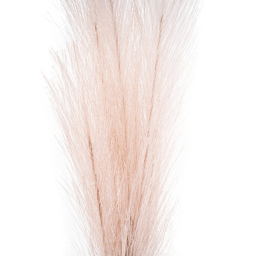 Pampas trava, svetlo vijolična, 9 x 77 cm