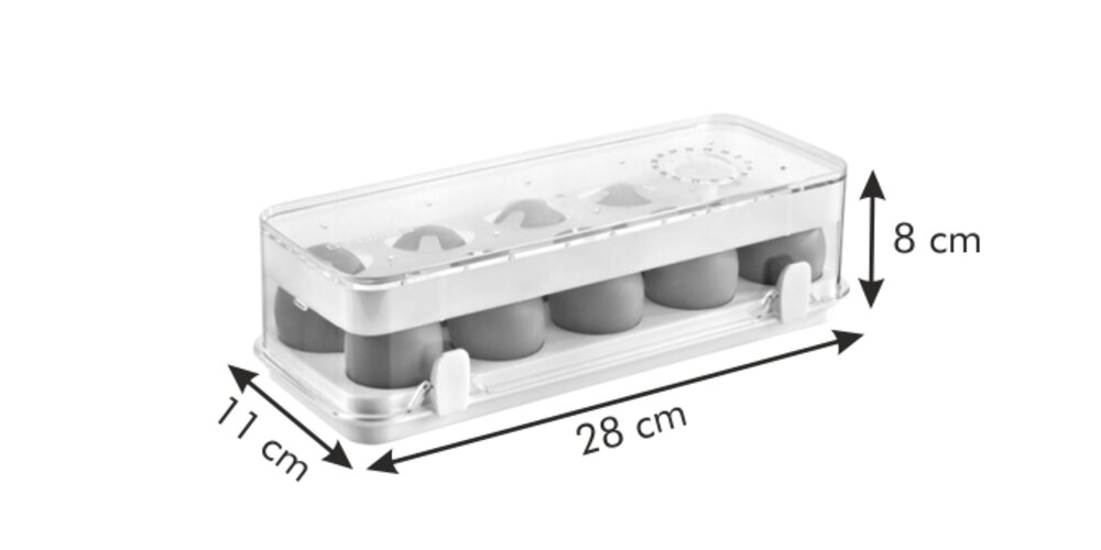 Tescoma Gesunde Kühlschrankbox Purity, 10 Eier