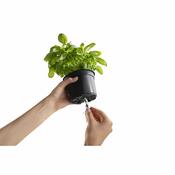 Flower Lover Šikovný kvetináč na bylinky Cobble biela, 14 cm