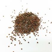 Plastia Microgreens štartovacia sada
