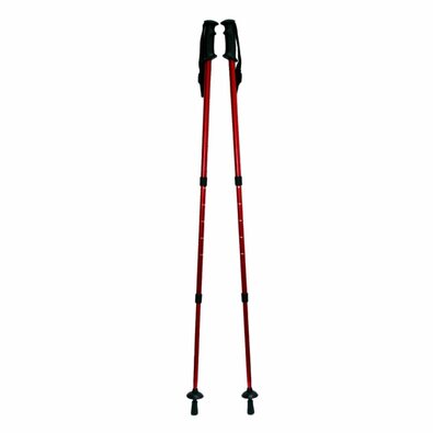 Treking palice ANTISHOCK
