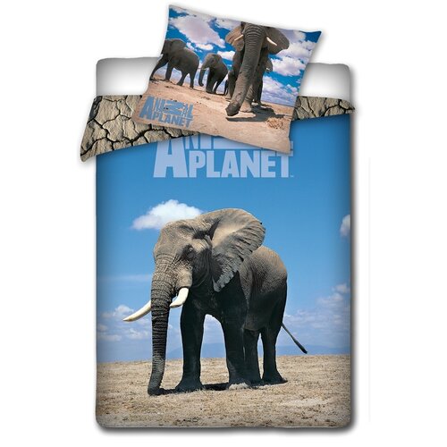 Bavlněné povlečení Animal Planet - Slon, 140 x 200 cm, 70 x 80 cm