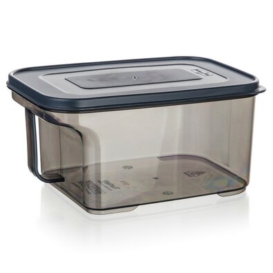 Banquet Контейнер для зберігання з ручкою ZOYA 1,7л, димчастий