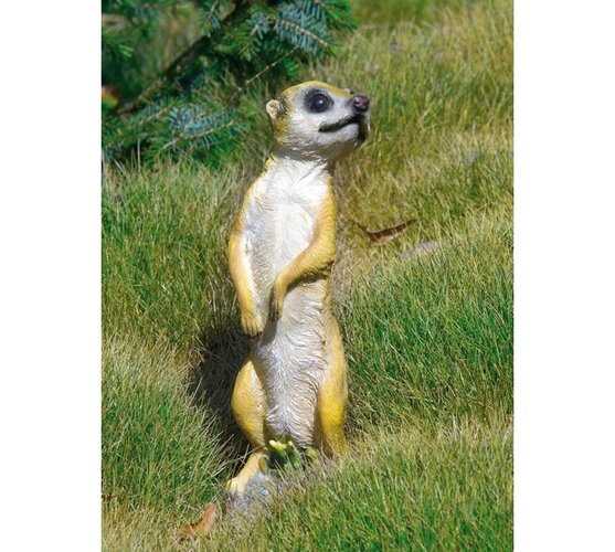 Dekorace na zahradu surikata