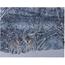 LED Obraz na plátně Wolves in winter, 40 x 30 cm