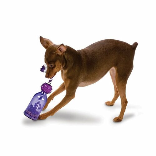 Speciální hračka pro psy Tug-a-Jug™ XS