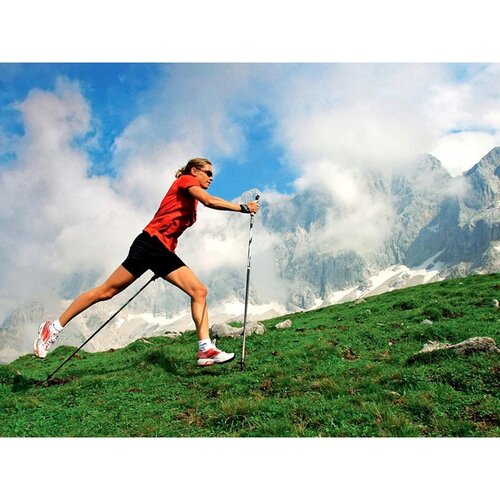 Bastoane de mers pe jos Nordic walking antishock, argintiu