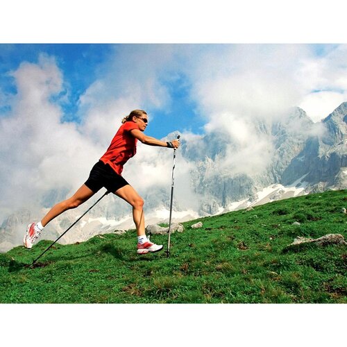 Nordic walking Палиці для скандинавської ходьби hole antishock, сріблясті