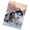 BedTex Mikropoliész takaró Szibériai husky, 150 x200 cm
