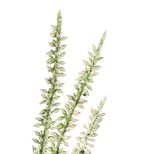 Plantă artificială Vřes crem, 11 x 15 x 28 cm