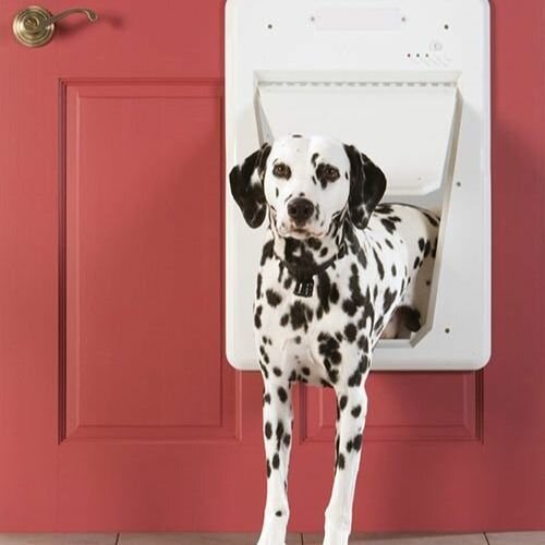 PetSafe® SmartDoor™ elektronikus ajtó mérete L