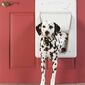 PetSafe® SmartDoor™ elektronikus ajtó mérete L