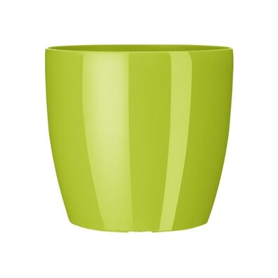 Emsa plastikowa doniczka na storczyki Casa Brilliazelená 16 x 15 cm