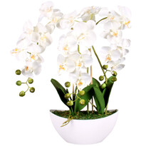 Mű orchidea virágtartóban, fehér, 21 virágos, 60 cm