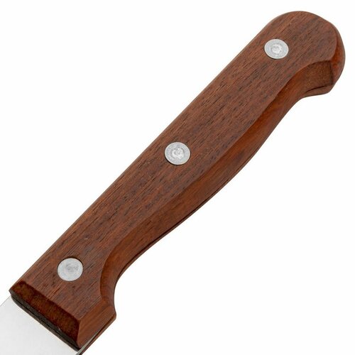 Florina Nôž na chlieb Wood, 20 cm