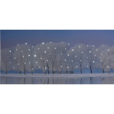 LED-Gemälde auf Leinwand Maella, 58 x 28 cm