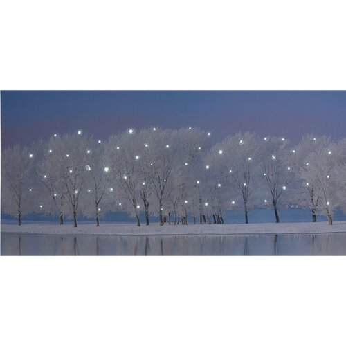 LED-Gemälde auf Leinwand Maella, 58 x 28 cm