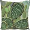 Vankúšik Kaktus zelená, 45 x 45 cm
