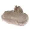 Terakotna pijačka za ptice Spring, 20 x 10 x 15,5cm