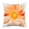 Poszewka na poduszkę pomarańczowy kwiat, 45 x 45 cm