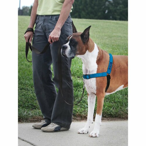 PetSafe Harness EasyWalk Deluxe albastru mărimea M