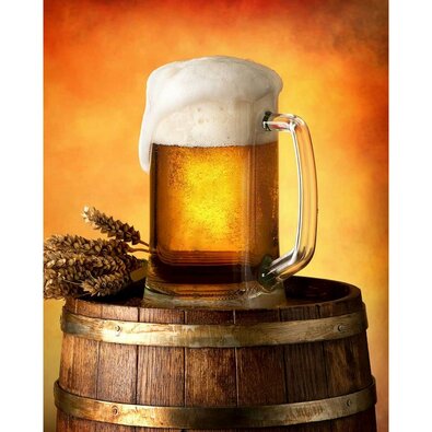 Decke Bier, 120 x 150 cmorange,