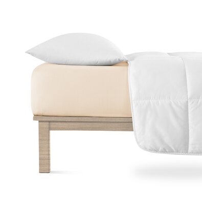 Cearșaf de pat 4Home jersey Lycra cafea , 180 x 200 cm