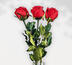 Umělé květiny červené růže, 3 ks, červená