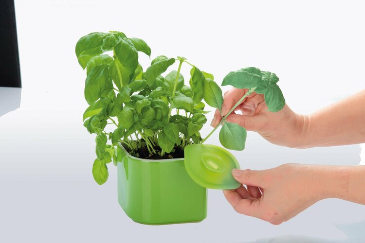 Tescoma Presto nożyczki do ziół z pojemnikiem