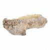 Husă pentru flori cu rădăcină scobită, 35 x 16 x 11 cm, beton