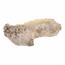 Husă pentru flori cu rădăcină scobită, 35 x 16 x 11 cm, beton