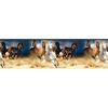 Samolepiaca bordúra Horses, 500 x 14 cm