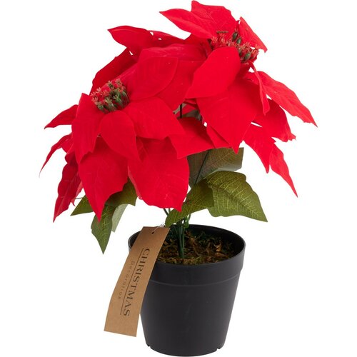 Umelá vianočná kvetina Poinsettia v kvetináči, 25 x 30 cm