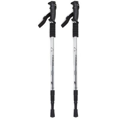 Nordic walking Палиці для скандинавської ходьби hole antishock, сріблясті
