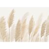 Fototapeta XXL Pampas 360 x 254 cm, 4 części