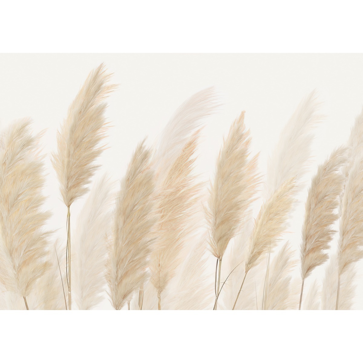XXL fotó tapéta Pampas 360 x 254 cm, 4 részből áll